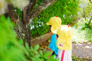 身近な自然に親しんで