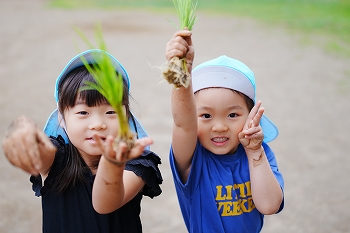 田植え☆生き物とのふれあい