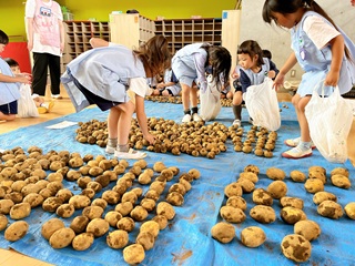 年長組＊ジャガイモ収穫